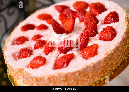 Kuchen mit Erdbeeren obenauf in natürlichem Licht Stockfoto