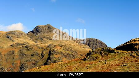 Das Great Langdale Tal und Fells aus Seite Zander Stockfoto