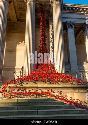 "Weinende Fenster' poppy Installation am St. George's Hall, Liverpool Stockfoto