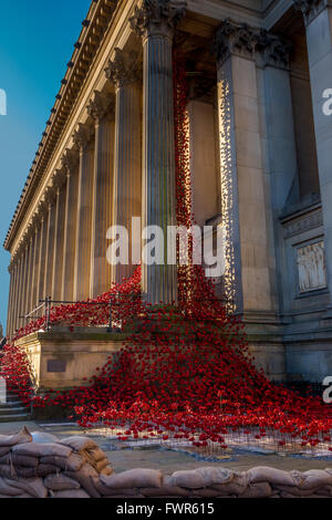 "Weinende Fenster' poppy Installation am St. George's Hall, Liverpool Stockfoto