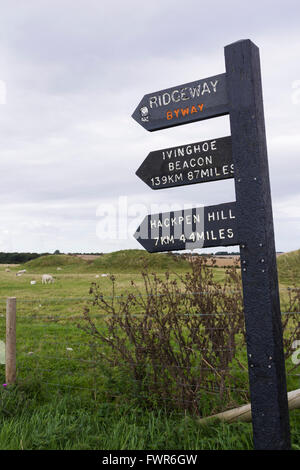 Wegweiser in der Nähe von Beginn der Ridgeway National Trail an der Kreuzung mit der A4 in Overton Hill, Wiltshire. Stockfoto