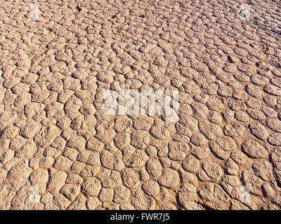 Getrockneten Boden, Salz schwenken, Dead Vlei, Sossusvlei, Namib-Wüste Namib-Naukluft-Nationalpark, Namibia Stockfoto