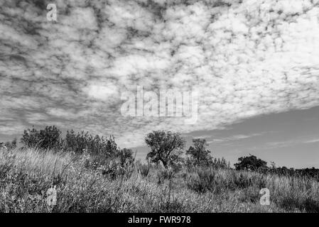 Mid-Level Altocumulus-Wolken über einem portugiesischen Hügel Stockfoto