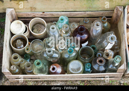 Holzkiste oder Box der alten Glasflaschen und Steinzeug, Großbritannien Stockfoto