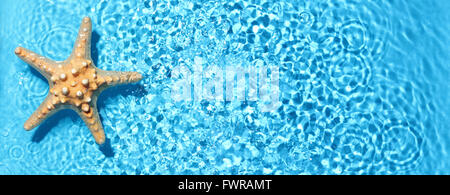 Seestern im blauen Wasser mit Lichtreflexion. Stockfoto