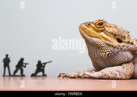 Bartagame von Kunststoff Soldaten angegriffen Stockfoto