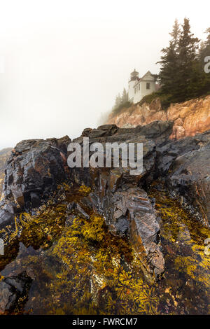 Die kultigen Bass Harbor Head Lighthouse an einem nebligen Tag im Acadia National Park, Mount Desert Island, Maine. Stockfoto