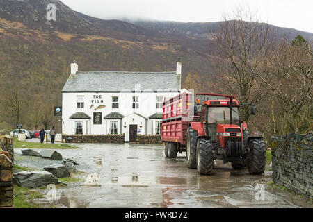 Fish Inn, Buttermere, Lake District, Cumbria, England an einem regnerischen Tag im Frühling Stockfoto