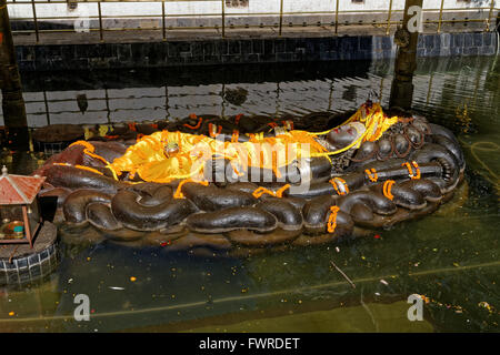 Vishnu-Narayana ruht schlafend auf die Schlange mit mehreren Windungen und Naga Köpfe werden errichtet, um den Gott zu schützen. Stockfoto