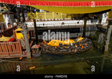 Vishnu-Narayana ruht schlafend auf die Schlange mit mehreren Windungen und Naga Köpfe werden errichtet, um den Gott zu schützen. Stockfoto