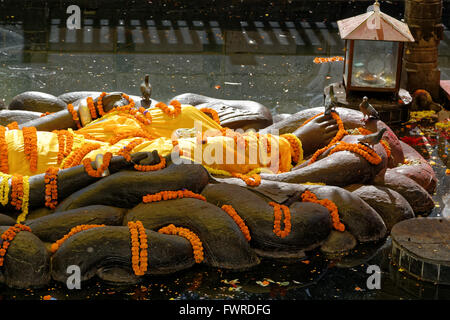 Vishnu-Narayana ruht schlafend auf die Schlange mit mehreren Windungen und Naga Köpfe werden errichtet, um den Gott zu schützen. Stockfoto