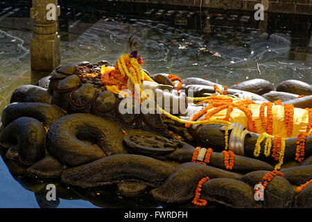 Vishnu-Narayana ruht schlafend auf die Schlange mit mehreren Windungen und Naga Köpfe werden errichtet, um den Gott zu schützen. Stockfoto