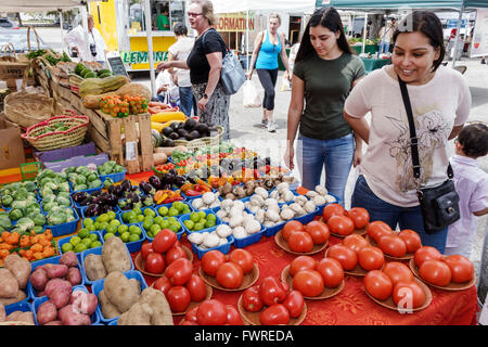 Florida, FL, Miami, Tropical Park, Shopping Shopper Shop Shops Market Kauf Verkauf, Store Stores Business Businessunternehmen, Bauernmarkt, Verkauf, Display-Verkauf, PR Stockfoto