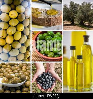 Olivenernte Collage gemacht von sieben Bildern. Frisch geerntete Oliven, Oliven-Öl auf Olivenholz Stockfoto