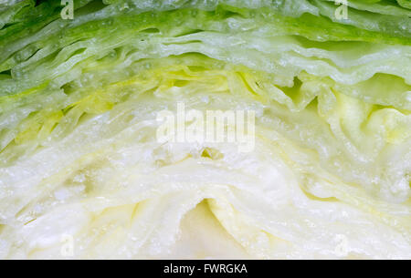 Schließen Sie herauf Bild Eisbergsalat Stockfoto