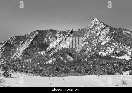 Die Boulder Flatirons bedeckt im Frühling Schnee, Chautauqua Park, Boulder, Colorado (schwarz und weiß). Stockfoto