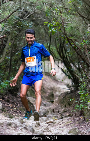Läufer kommen durch einen Tunnel der Bäume während der komprimieren Sport teilnehmenden Collserola in Barcelona im Jahr 2015. Stockfoto