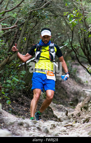 Läufer kommen durch einen Tunnel der Bäume während der komprimieren Sport teilnehmenden Collserola in Barcelona im Jahr 2015. Stockfoto