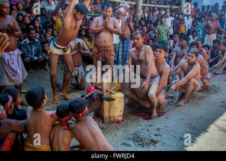 Anhänger Opfern ein Büffel als eine Gabe für die Göttin Durga während der Durga Puja Festival feiern. © jahangir Alam o Stockfoto
