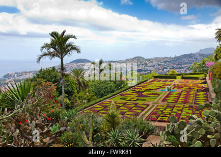 Tropical Botanical Garden in Funchal Stadt, Insel Madeira, Portugal Stockfoto