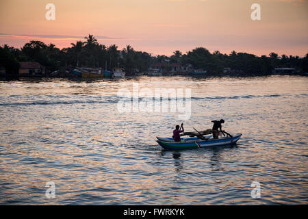 Fischer in Negombo Lagune im Morgengrauen, Sri Lanka Stockfoto