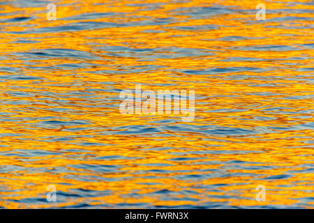 Sonnenuntergang reflektiert Ozean auf Maui, Hawaii, USA Stockfoto