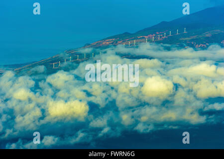Kaheawa Windpark auf Maui im Morgengrauen Stockfoto