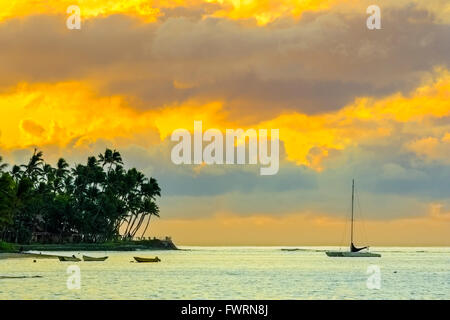 Boote verankert in der Abendsonne vor der Küste von Maui Stockfoto