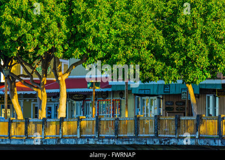 Lahaina, Maui Stockfoto