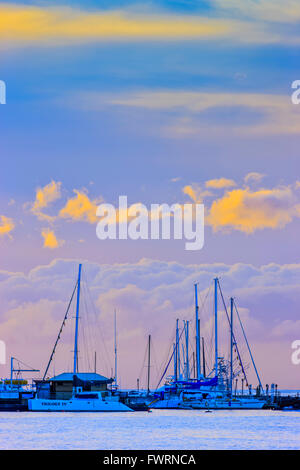 Segelboote vor Anker Lahaina Hafen Maui Stockfoto