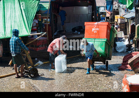 Szenen aus dem San Pya Fischmarkt in Yangon, Myanmar Stockfoto