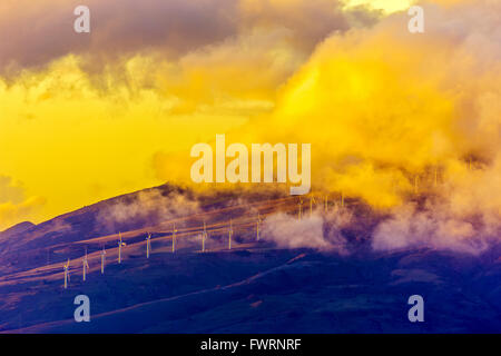 Windkraft auf Maui Stockfoto