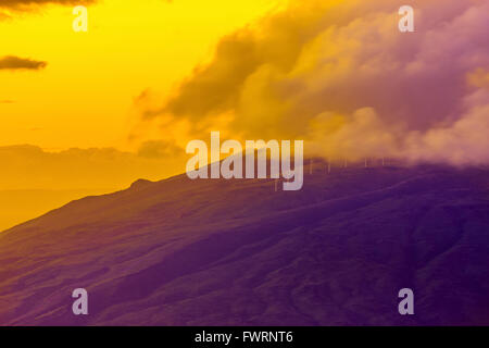 Windpark auf Maui Stockfoto