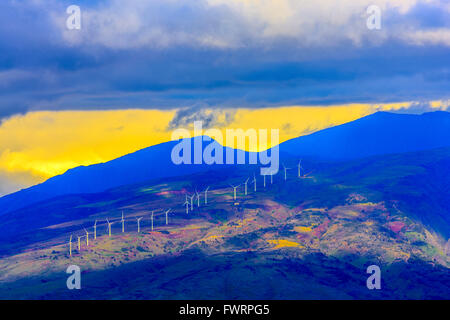 Windpark auf Maui Stockfoto
