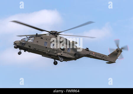 Italienische Armee (Esercito Italiano) NHI (NH Industries) NH-90 Multirole Militärhubschrauber MM81544 Stockfoto