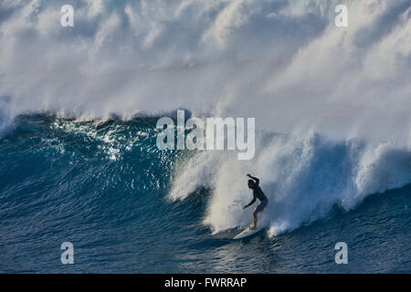 Surfen in Maui Stockfoto