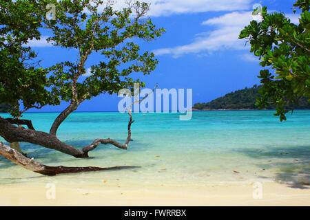 Ao Mai Ngam. Marine Park Surin Inseln. Phangnga. Thailand Stockfoto