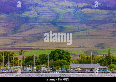 Lahaina Harbor auf Maui Stockfoto