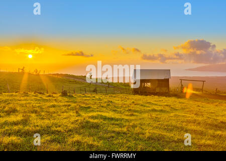 Landesinneren Weide und Salz Scheune auf Maui ranch Stockfoto