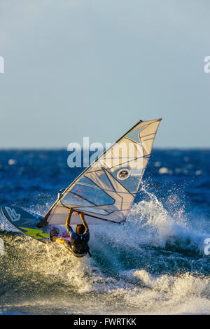 Windsurf Maui Stockfoto