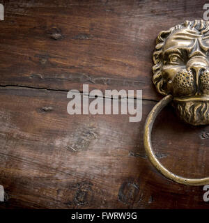 Türklopfer mit Löwen auf Holztür. Stockfoto