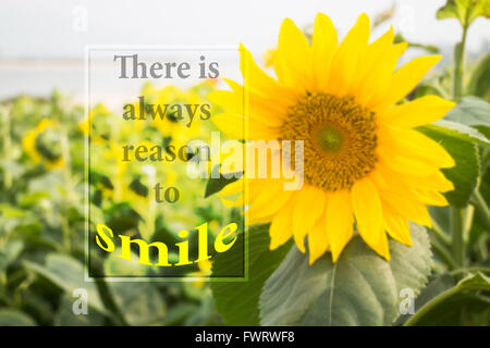 Es gibt immer Grund zu Lächeln, Meldung auf Unschärfe Sonnenblumen Hintergrund Stockfoto
