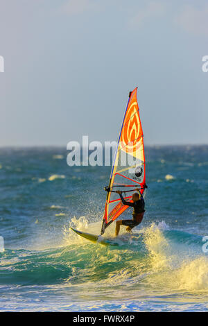 Windsurf am Ho'okipa Beach, Maui Stockfoto