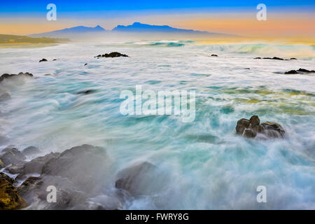 Wellen am Strand von Maui Stockfoto