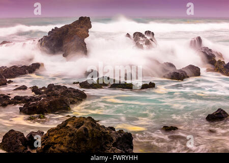 Wellen am Strand von Maui Stockfoto