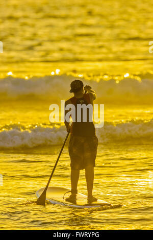 Paddle Board Surfen im Sonnenuntergang Maui aufstehen Stockfoto
