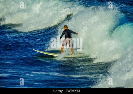 Surfen in Maui Stockfoto