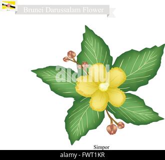 Brunei-Blume, Illustration von Simpor Blumen oder Dillenia Blumen. Die nationale Blume von Brunei Darussalam. Stock Vektor