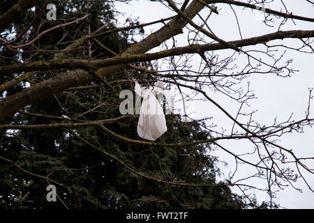 Eine Plastiktüte gefangen in den Ästen eines Baumes. Stockfoto