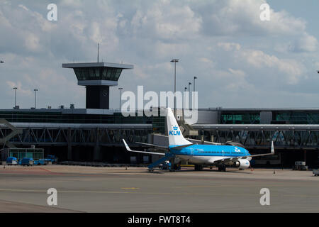 KLM Flugzeug steht auf dem Rollfeld am Flughafen Schiphol in Amsterdam, Niederlande. 4. August 2014. Stockfoto